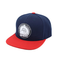 Illuminati Patch Snapback Hat Flat Brim Baseball Cap AL21307